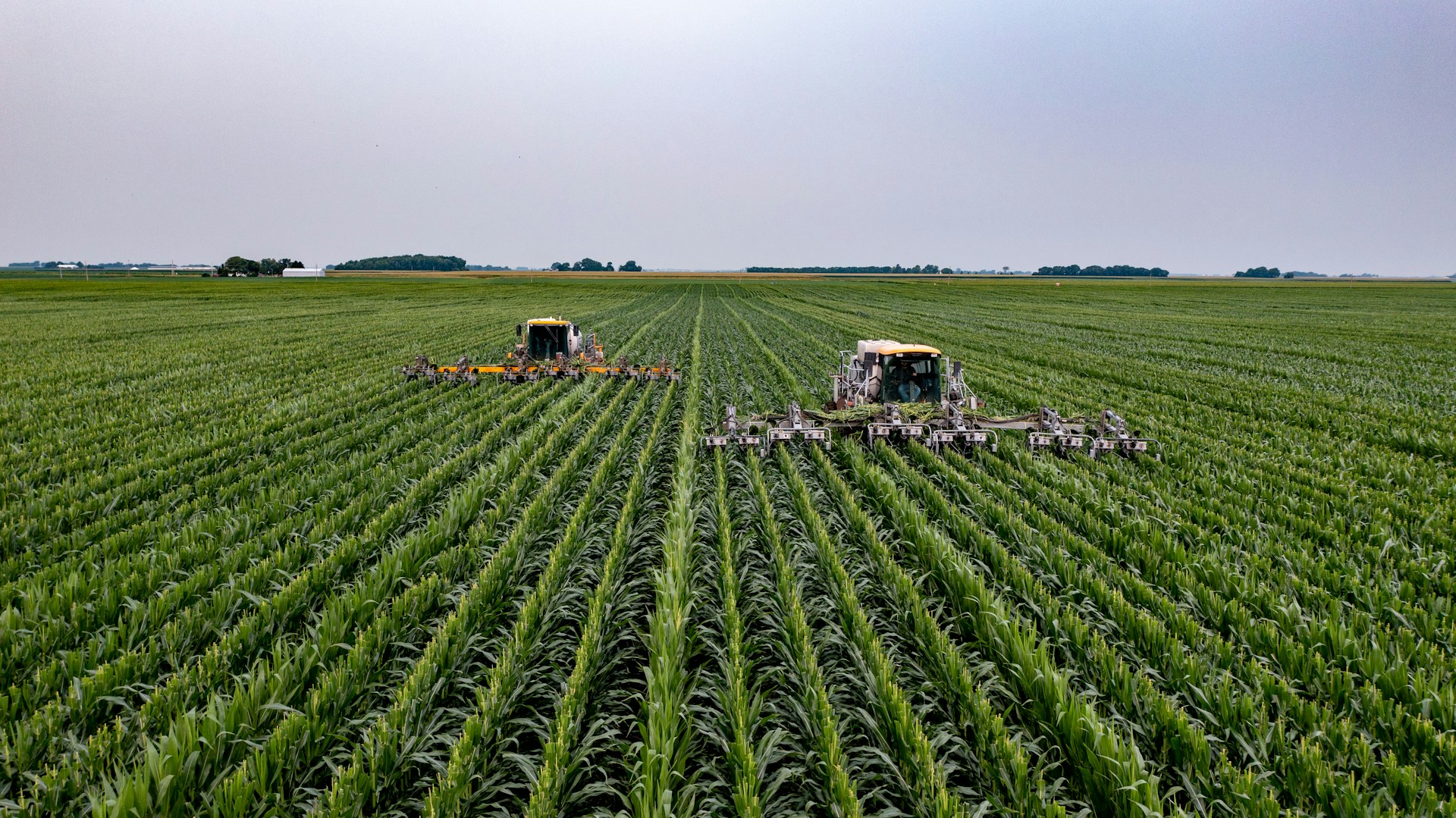 5 Benefits of GIS in agriculture