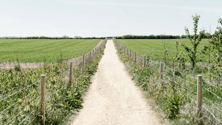 Mapping slow roads: smarter and safer routes for walkers and cyclists